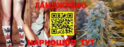 прущие крисы Можга